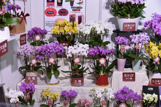 2024IFEX東京花卉展門票怎么買-門票申請攻略