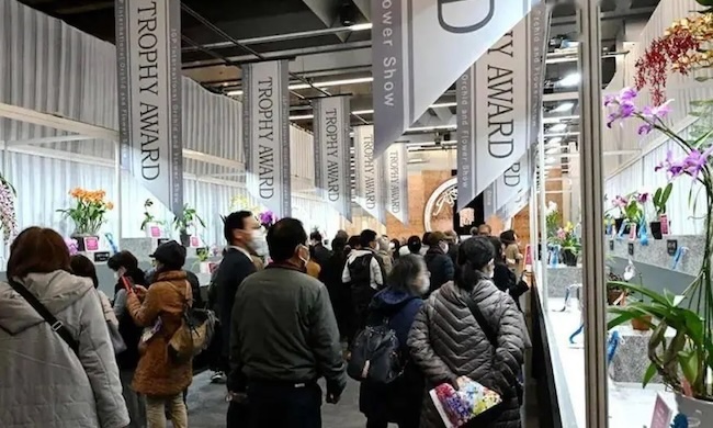 2024IFEX東京花卉展展位如何申請(qǐng)-展位預(yù)訂