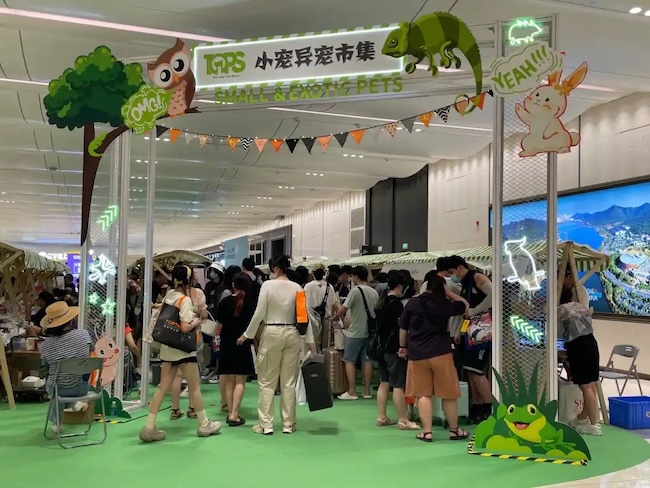 2025上海它博會(huì)展會(huì)門票如何獲取-門票預(yù)訂申請指南