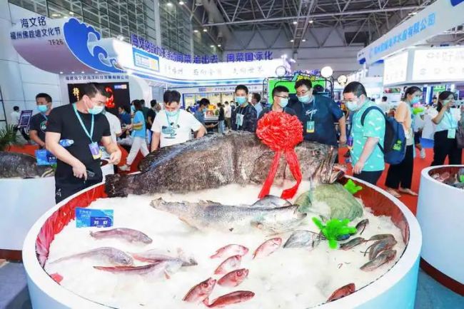 福州漁博會(huì)2025蘭疇金魚相關(guān)信息
